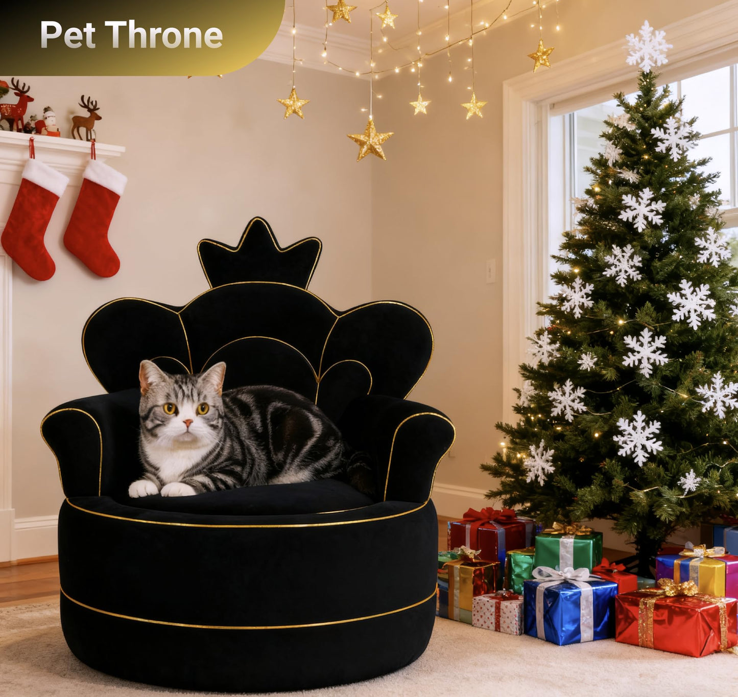 Cuddle Republic Premium Pet Sofa – Holland Velvet Dog and cat Throne Chair, Black & Gold Design, Cozy & Soft, Scratch-Resistant & Durable, Perfect for Home Décor & Pet Lovers
