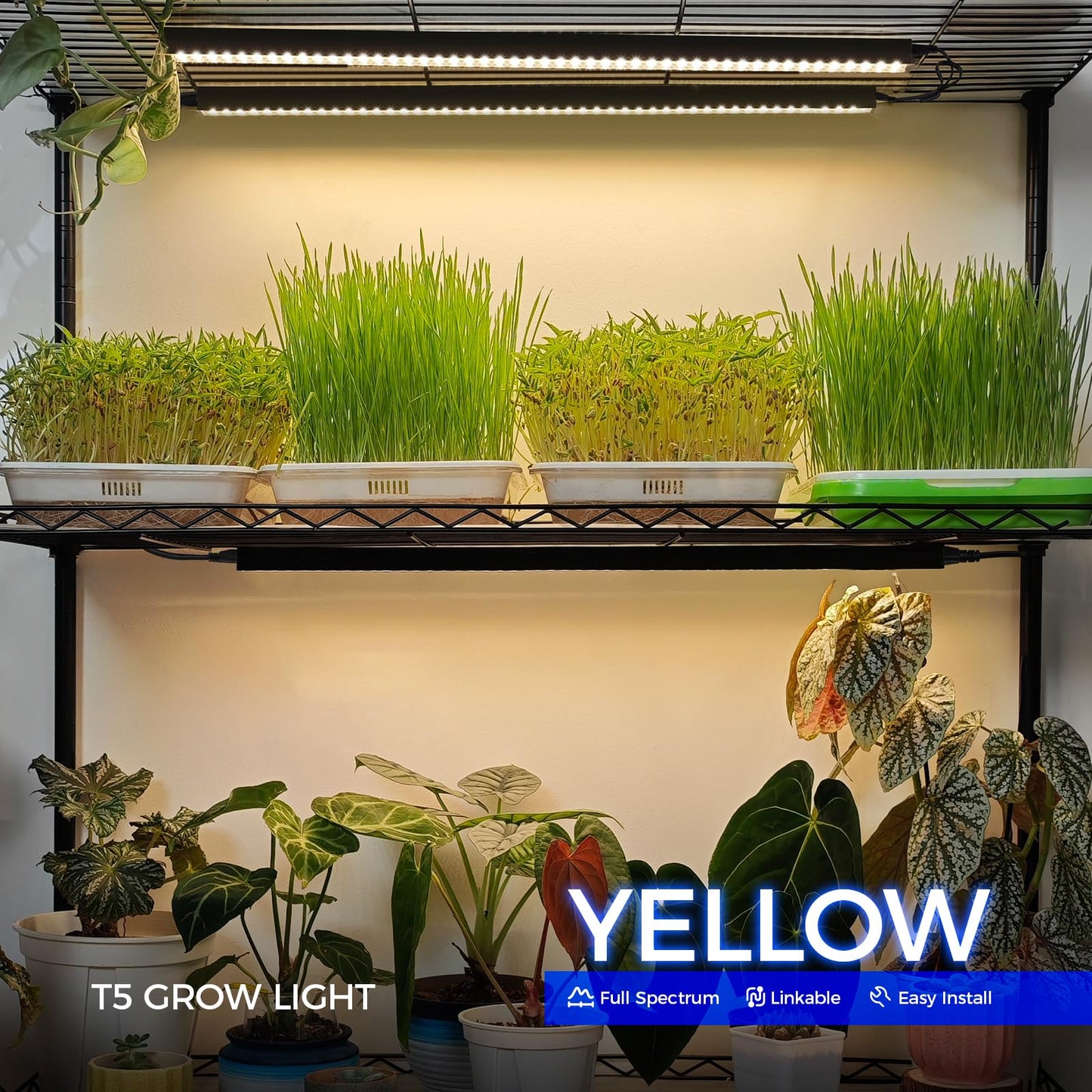 Barrina T5 Plant Grow Lights 80W Full Spectrum LED Strips 2FT Black Cover Yellow 8 Packs Model NF10