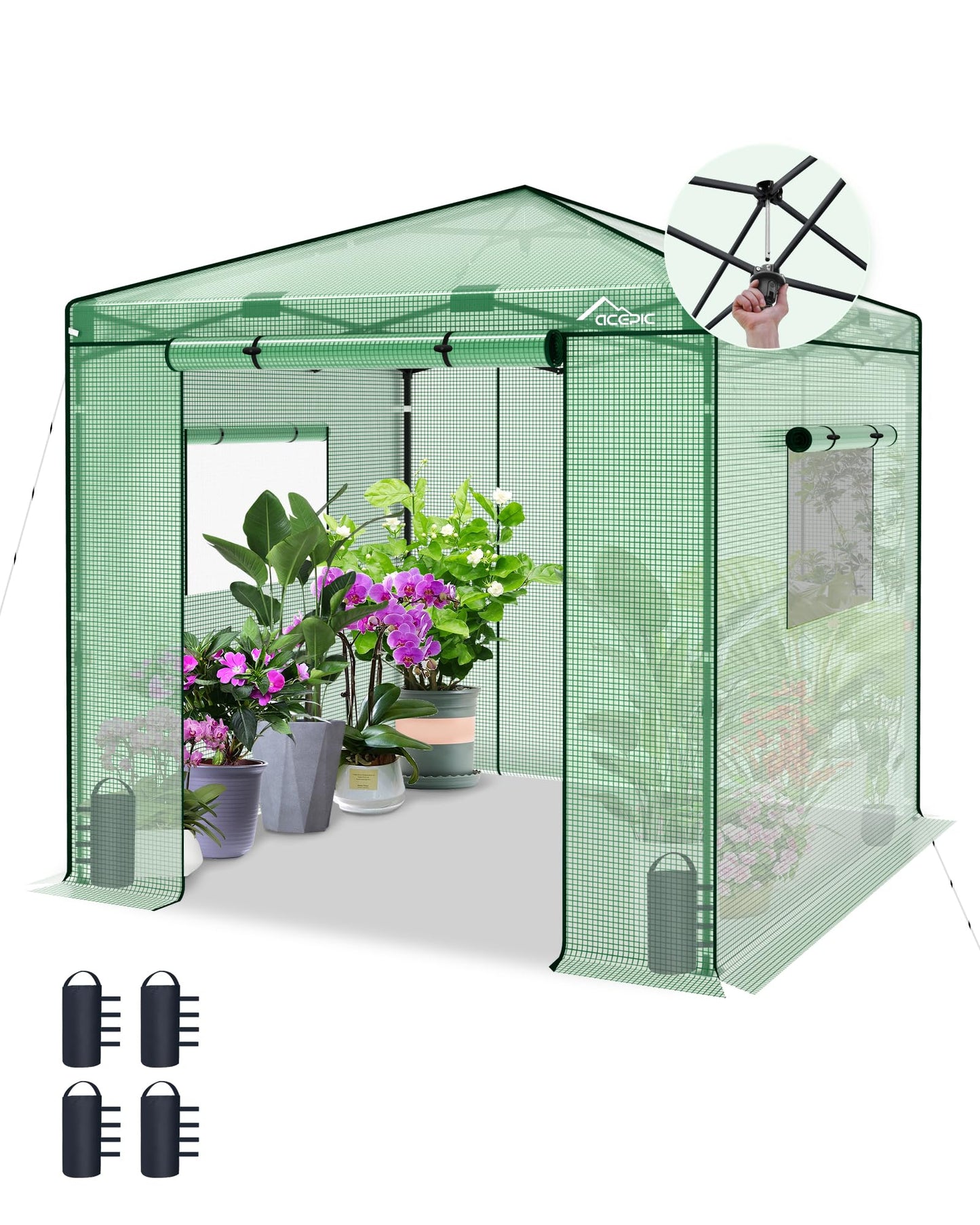 Acepic 8x8 Instant Pop up Greenhouses, Indoor Outdoor Portable Greenhouse Walk-in for All Season, Small Green House with Roll-Up Zipper Doors and Side Windows, 4 Sandbags, Pe Cover, Green/Clear