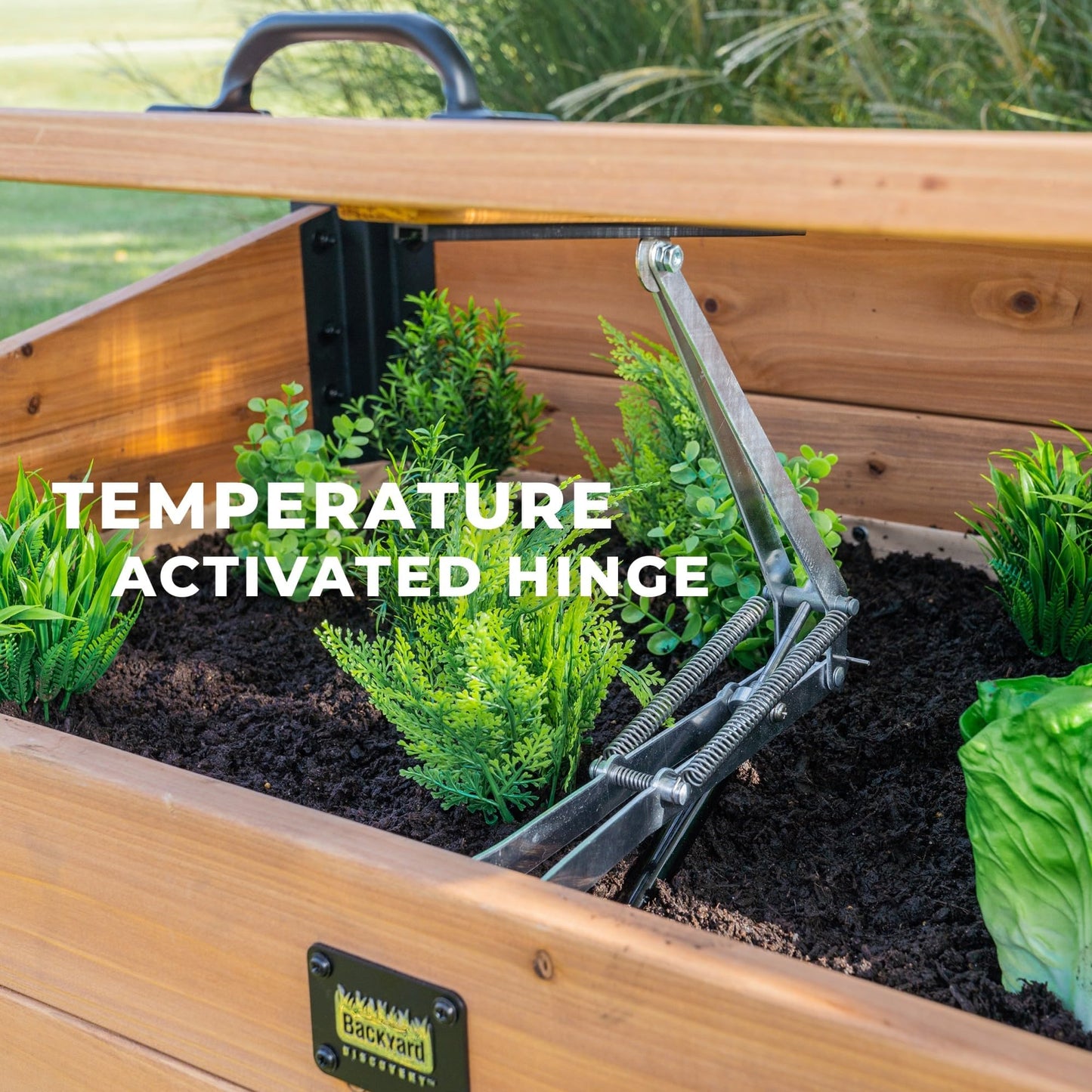 Backyard Discovery Aggie 4' x 2' Cedar Wood Cold Frame Portable Mini Greenhouse, Raised Garden Planter with Temperature-Activated Polycarbonate Lid, Mesh Drainage for Year-Round Outdoor Gardening