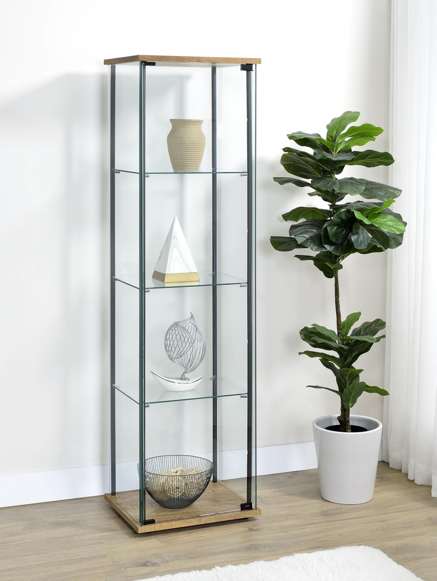 Coaster Home Furnishings - Bellatrix - Glass - 3-Shelf Curio Cabinet with Metal Frame, One Door, and Black Hardware - Living Room - 64-Inch - Mango - 950172MGO