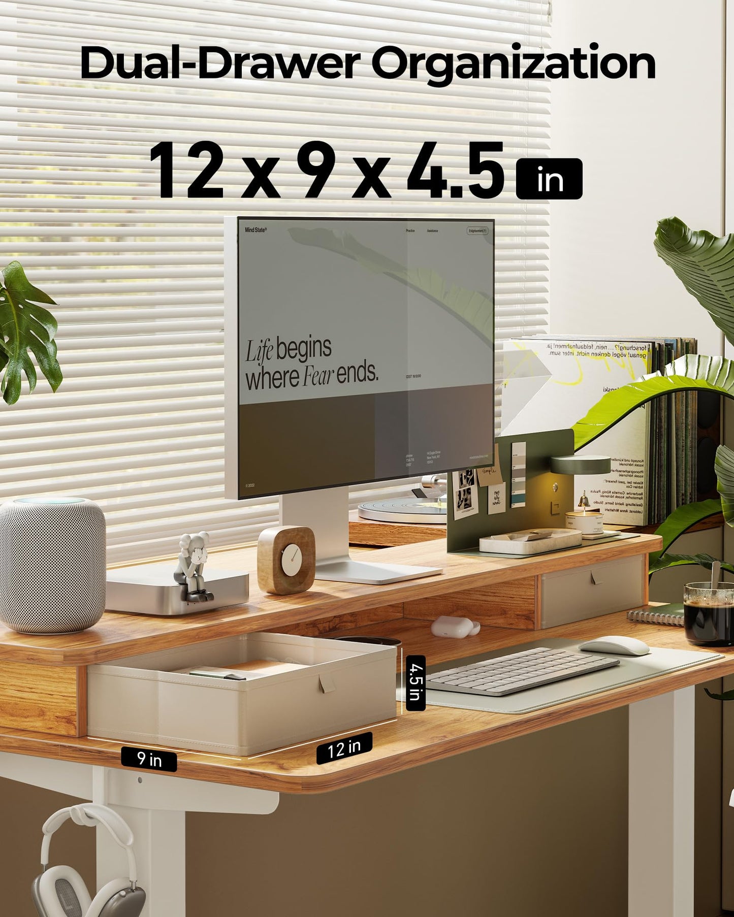 TENKIA 55x24 Inch Electric Standing Desk with Double Drawers, Adjustable Feet & Hooks, Ergonomic Home Office Workstation, Light Rustic