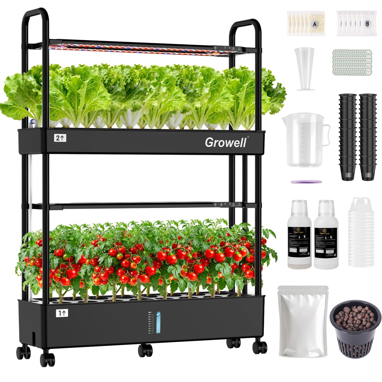 Growell Large Basket Hydroponics Growing System Kit, 32 Pods Vertical Hydroponic Garden with 2 Grow Light Modes, Auto Circulating Water System, 32L Indoor Gardening System for Herb Vegetable Fruit