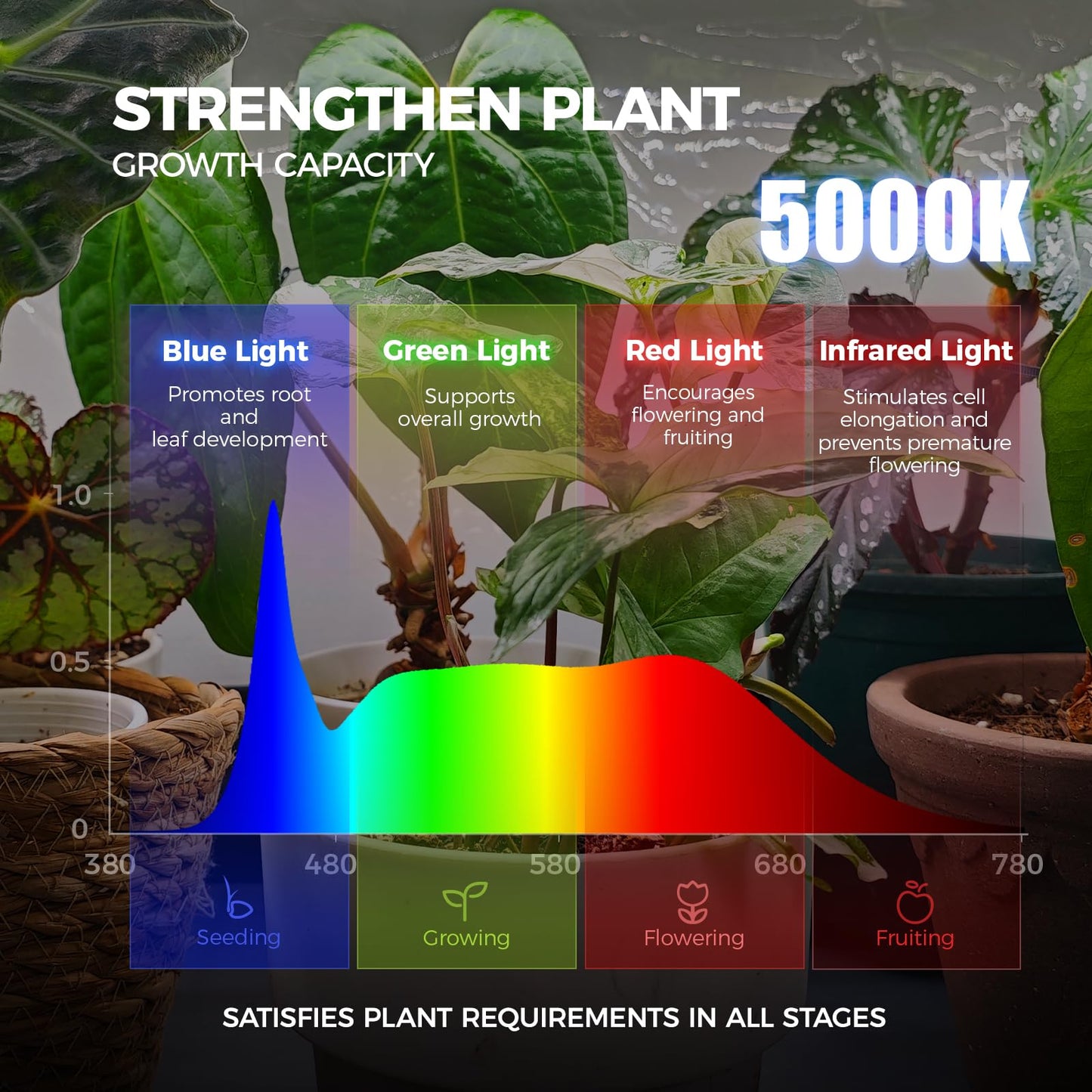 Barrina LP750 Indoor Greenhouse with Grow Light, 5-Tier Plant Stand with Light 140W TX-S35 2FT, 5000K Full Spectrum Plant Shelf with Tent, Timer & Thermometer for Seed Tray Growth 29.5 x 13.8 x 70.9IN