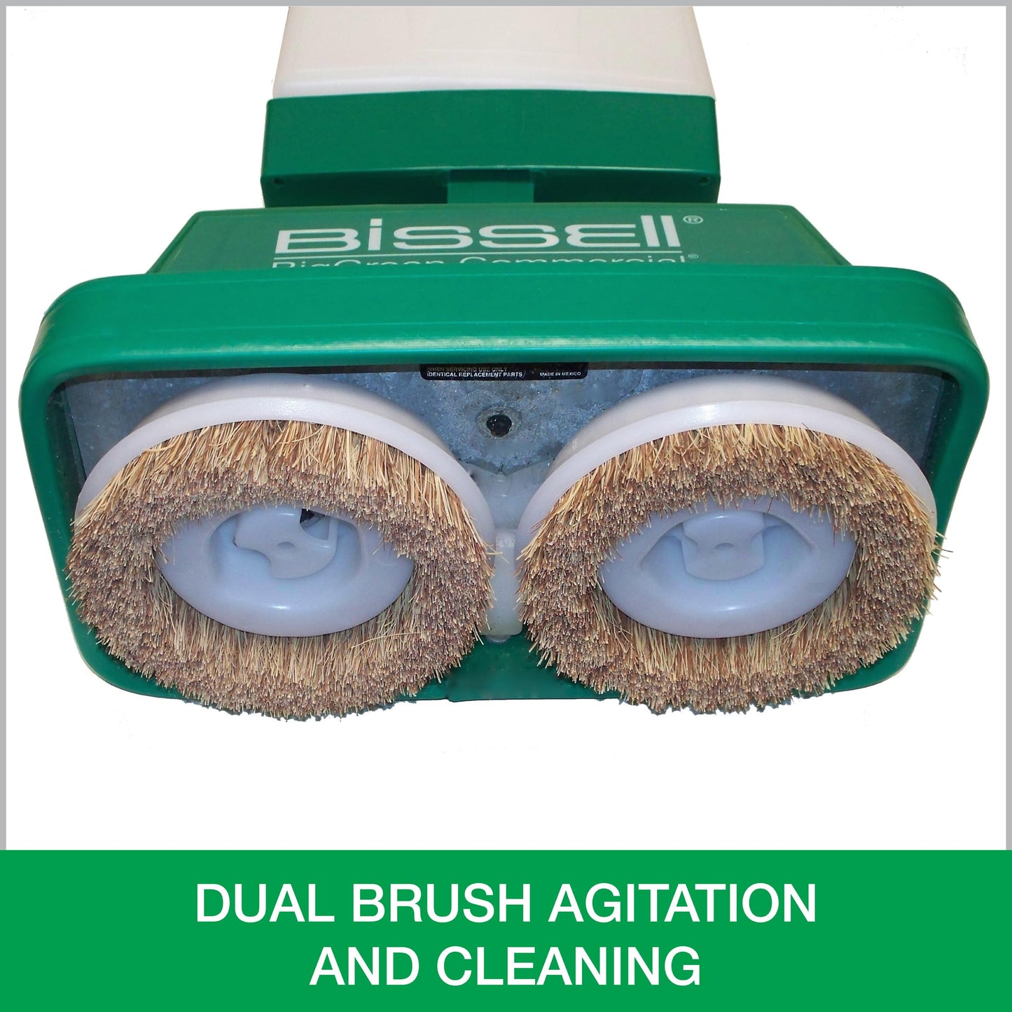 Bissell BigGreen BGFS5000 Portable Two Brush Floor Scrubber & Polisher, Polypropylene, 13"" W x 7"" D x 44"" H, White & Green