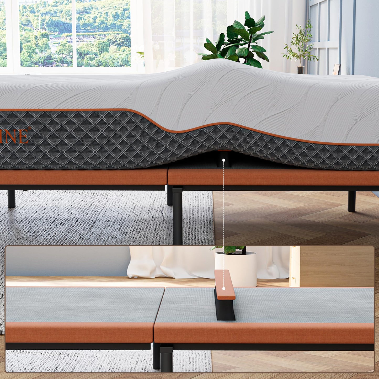 ESHINE Queen Adjustable Bed Frame with Lumbar Support, Head-Pillow-Tilt, Under Bed Light, Smart App Control, Zero Gravity, Dual USB Ports, Suitable for Most Queen Mattresses, 6000 Series