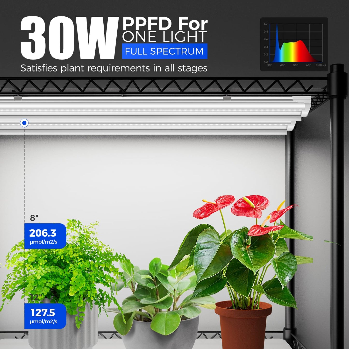 Barrina CX5Z Indoor Greenhouse with Grow Light, 6PCS T8 30W, 4-Tier Metal Stand, 35.4x13.8x59IN,