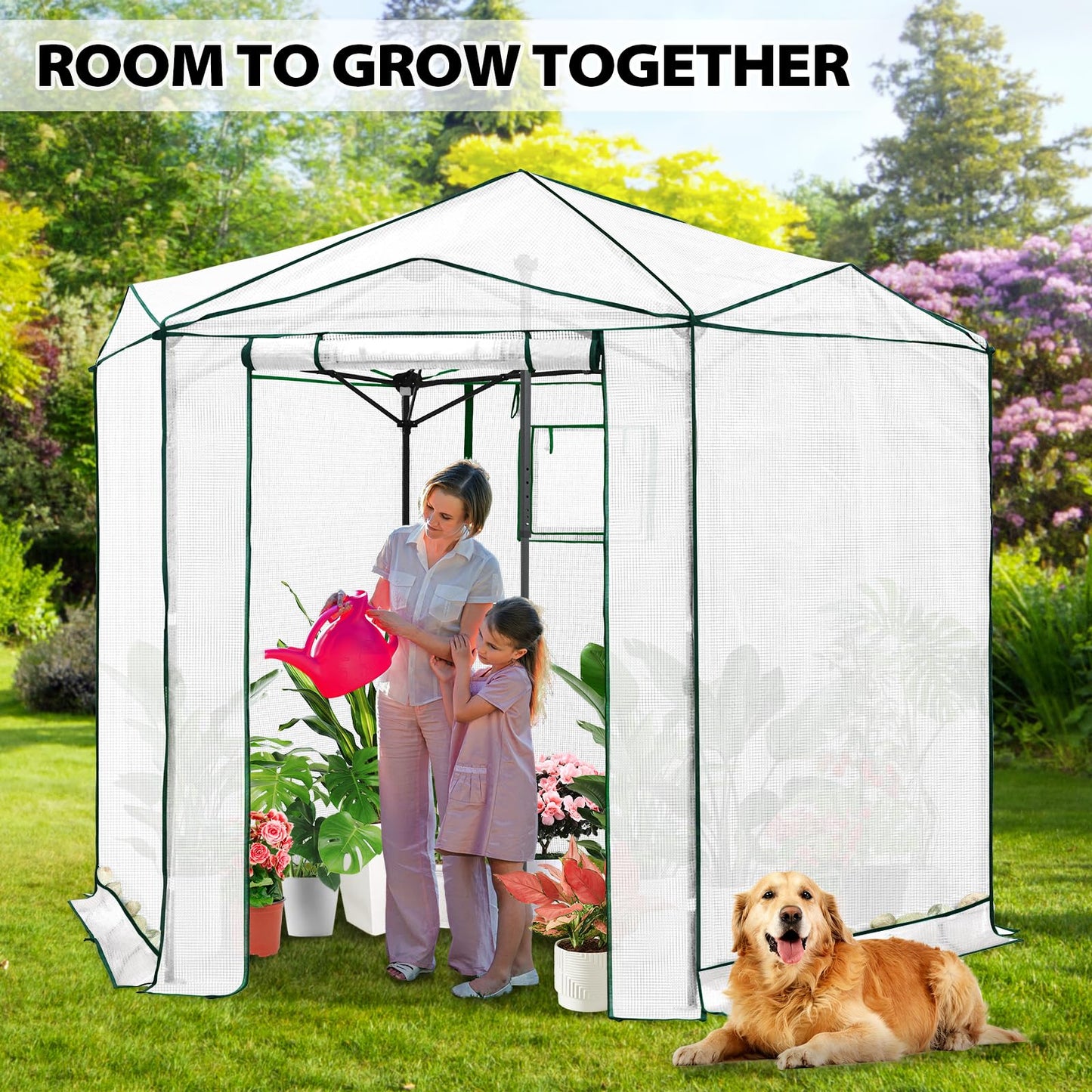 EAGLE PEAK 8.5x8.5 Portable Walk in Greenhouse, Pop Up Indoor Outdoor Greenhouse, Green House Kit with Zippered Roll-Up Doors and Windows, Hexagon Design, PE Cover, Clear/White