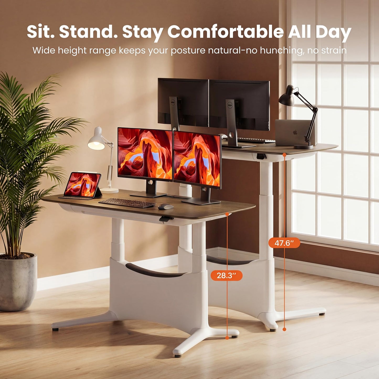 COLAMY Electric Standing Desk 55x28, Desktop Wobble-Free Dual Motor Sit Stand Up Desk with Drawers, Outlets & Footrest, Adjustable Height Computer Table for Home Office Workstation, Walnut,White