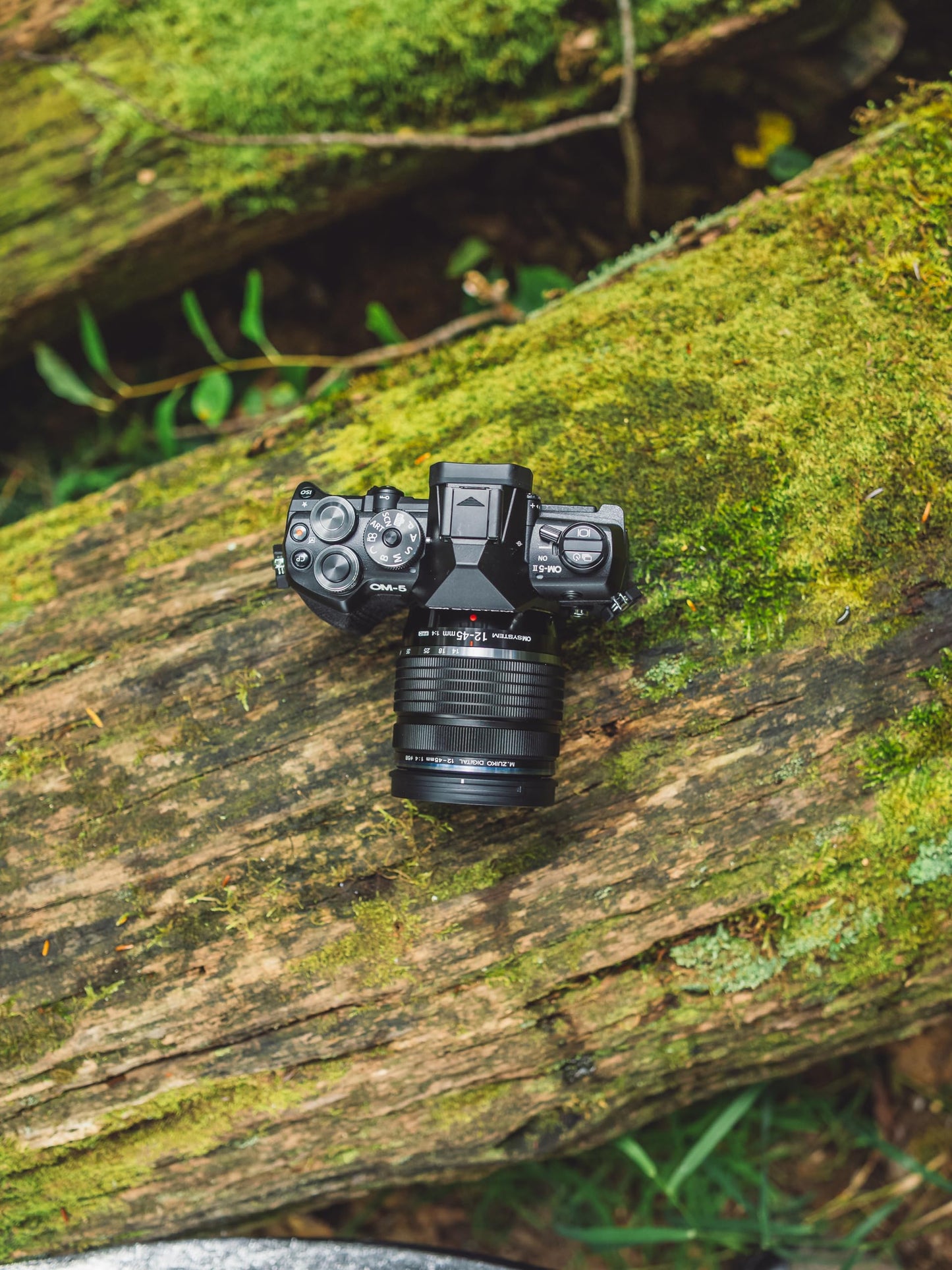 OM SYSTEM OM-5 Mark II BLK w/M.ZUIKO Digital ED 12-45mm F4.0 PRO KIT Compact Light Weight Weather Sealed 4K Video Camera Best for Outdoor Travel