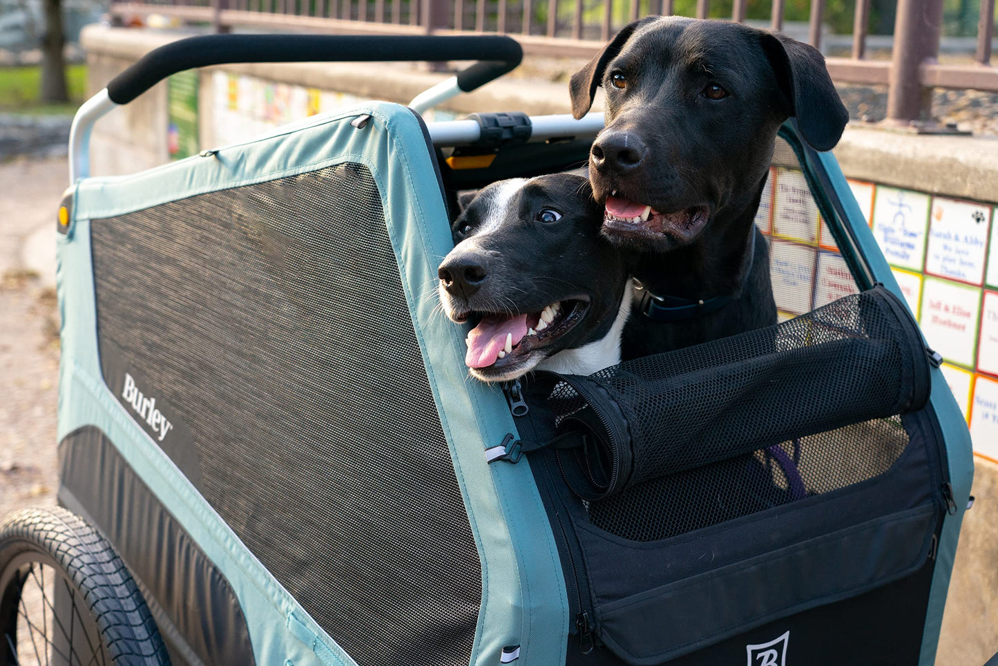 Burley Bark Ranger | Dog Bike Trailer & Stroller, Roomy Interior, Mesh Ventilation & Reinforced Removable Floor