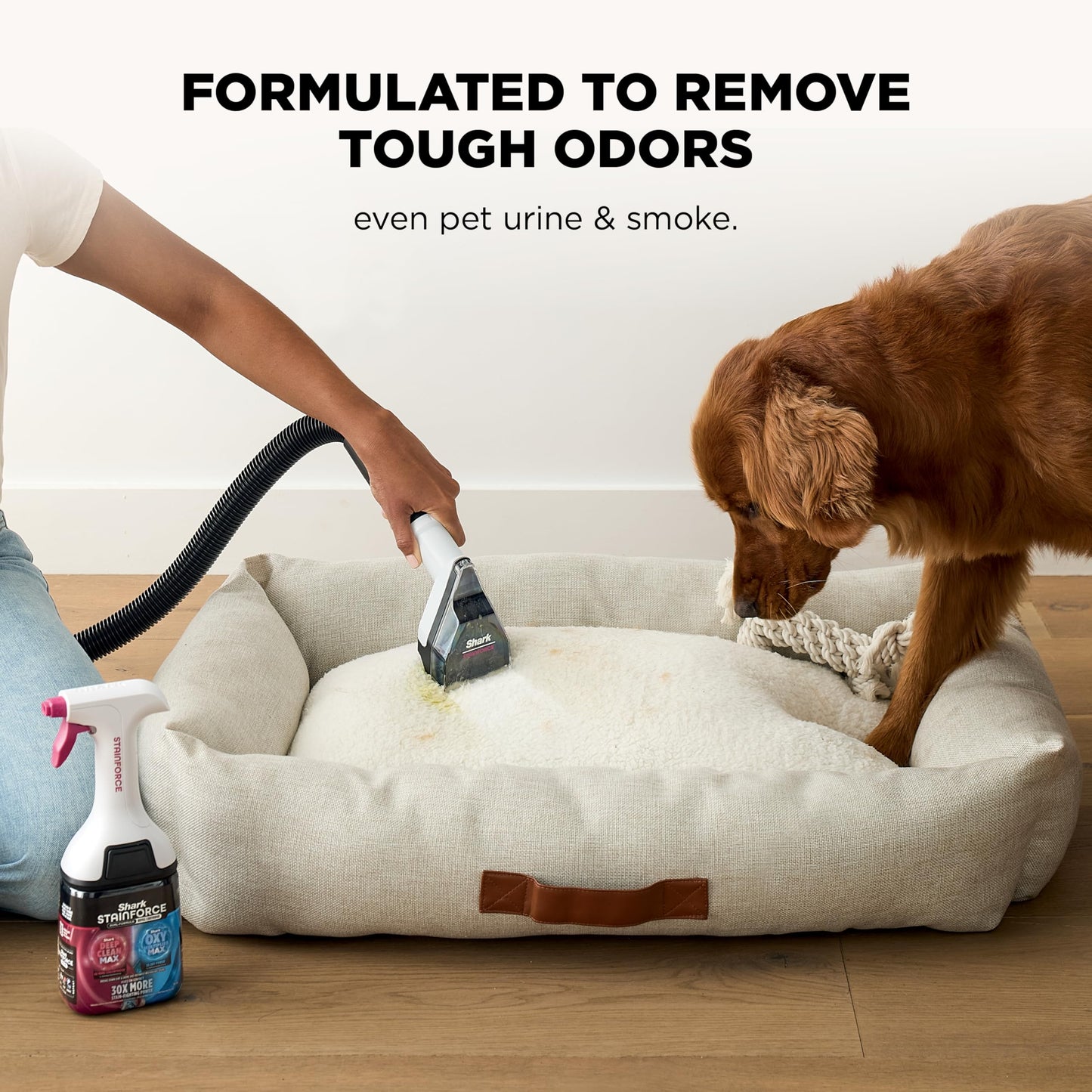 Shark EveryMess Ultra-Powerful 3-in-1 Wet Vac, Dry Vac, & Stain Eliminator with StainForce Technology, Perfect for Homes, Pets, and Cars, 3 Accessories and Cleaning Solution, Gray, VX101