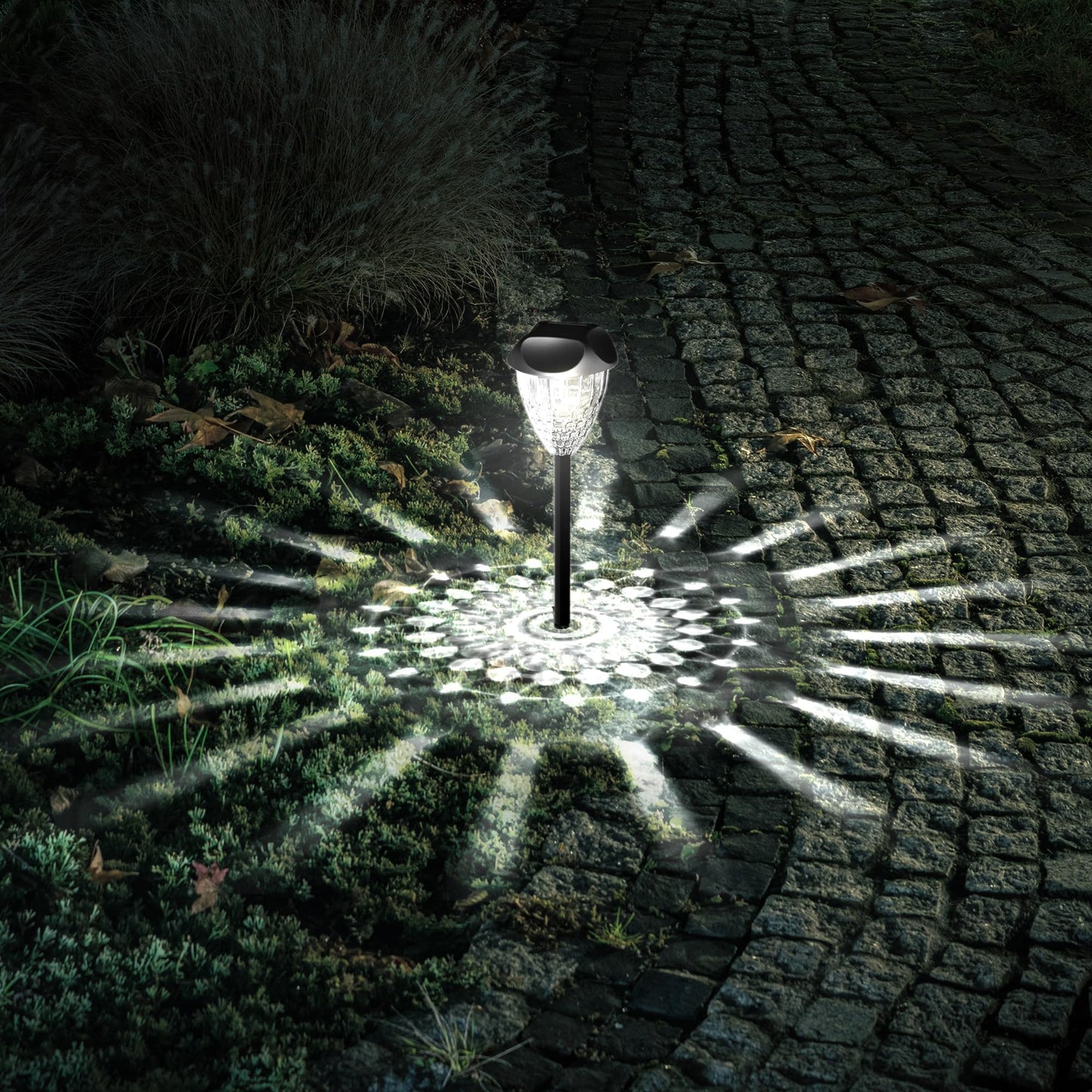 Ensenior 8-Pack Solar Garden Lights, 6500K LED, Cool White, Waterproof, Auto ON/OFF, Plastic, Model CP3-10CM-65K-08-BL