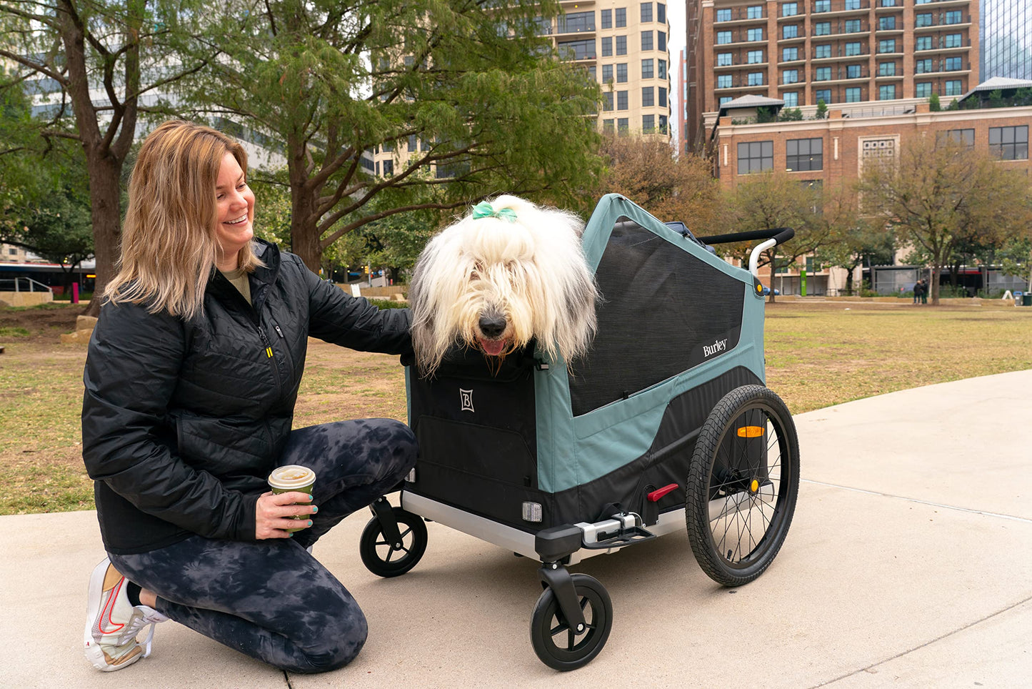 Burley Bark Ranger | Dog Bike Trailer & Stroller, Roomy Interior, Mesh Ventilation & Reinforced Removable Floor