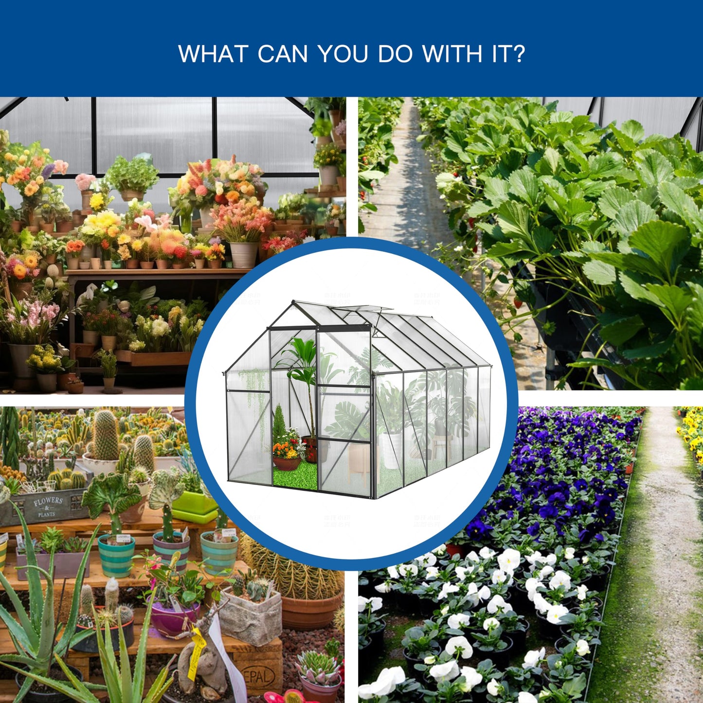 Jintop 6x12 FT Polycarbonate Greenhouse with Raised Base and Anchor Aluminum,Heavy Duty Walk-in Green Houses,w/ Drainage System & Adjustable Roof/Sliding Door,for Outdoor Backyard,Black