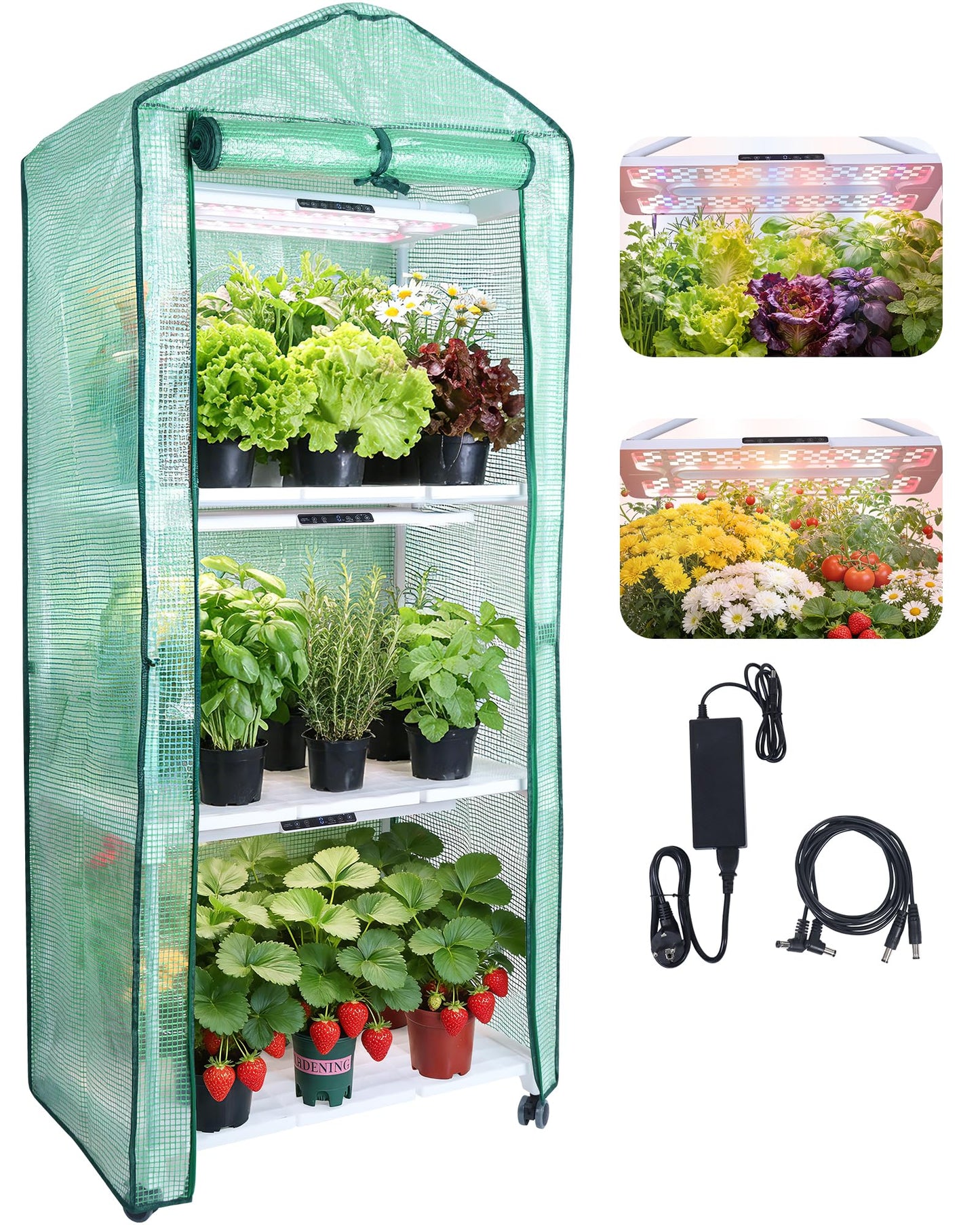 Mini Indoor Greenhouse with Grow Light, 3-Tier Portable Plant Greenhouse Cabinet with Wheels, 36W Full Spectrum LED, Waterproof PVC Tent Cover for Seed Starting, Herbs, Indoor Plants (Green, 3 Tier)