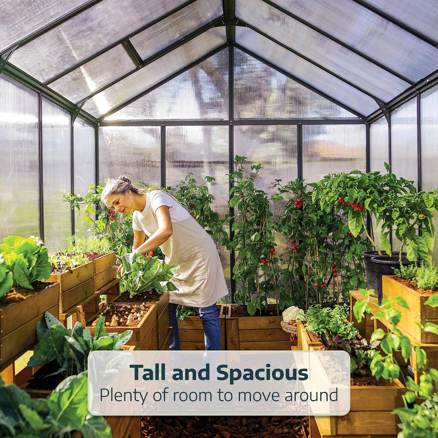 Palram - Canopia Glory 8 Ft. x 12 Ft. Greenhouse Kit Hobby DIY Walk In Green House Heavy Duty Polycarbonate with Aluminium Frame, with Lockable Door and Vent for Garden, Backyard (Gray)