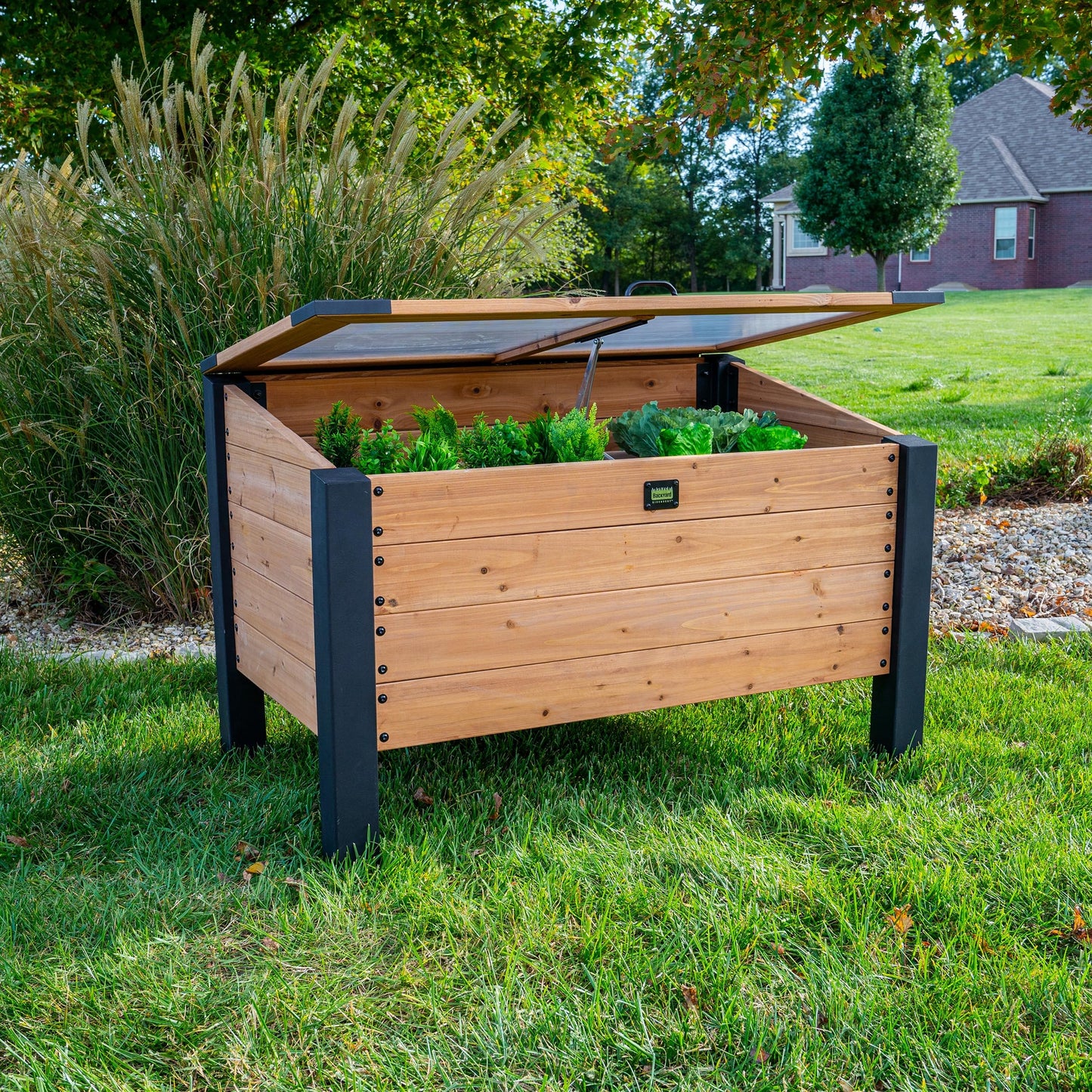 Backyard Discovery Aggie 4' x 2' Cedar Wood Cold Frame Portable Mini Greenhouse, Raised Garden Planter with Temperature-Activated Polycarbonate Lid, Mesh Drainage for Year-Round Outdoor Gardening